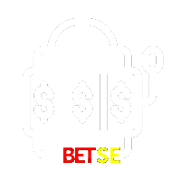  BETSE